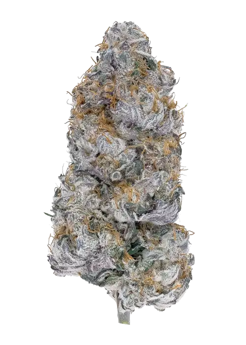 Kushberry Float
