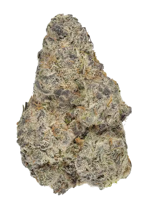 Alien Rock Sours