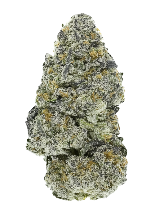 Cereal Kush