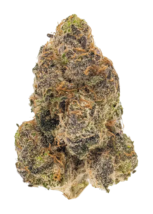 Wildberry Slurmz