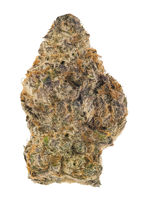 Sugar Rainbow Luxe