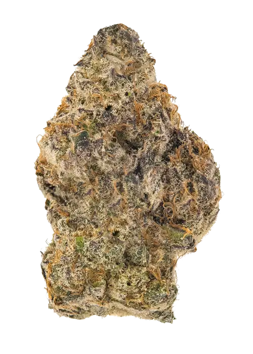 Sugar Rainbow Luxe