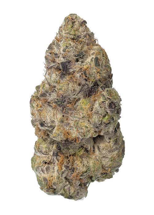 RX Sugar