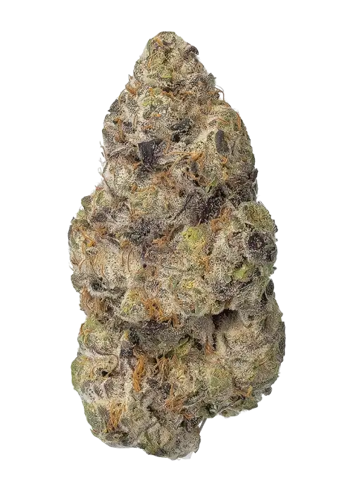 RX Sugar