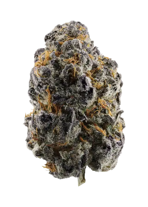 Black Warheadz