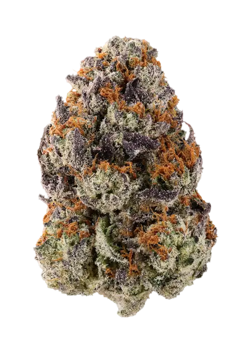 Michigan Melonz