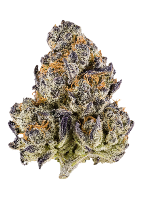 Melon Cherry Gelato