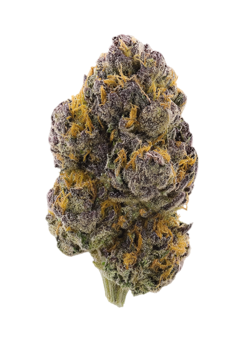 Pineapple Crush