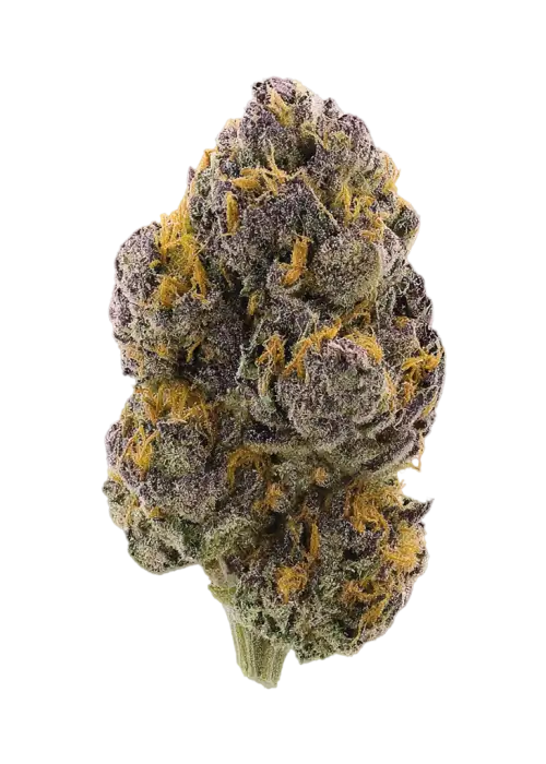 Pineapple Crush