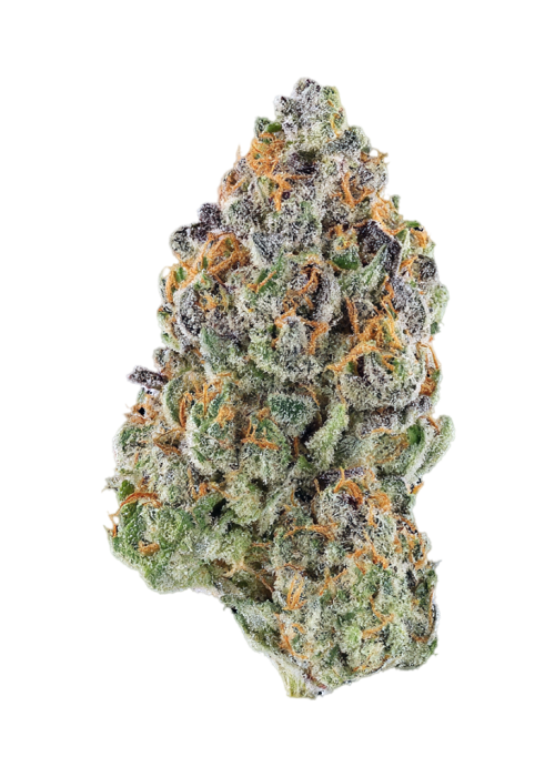 Kookiekland