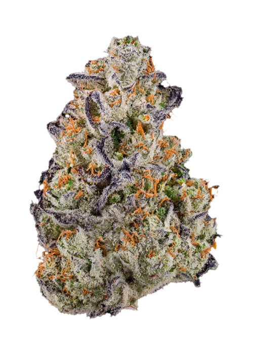 Kookie Dough