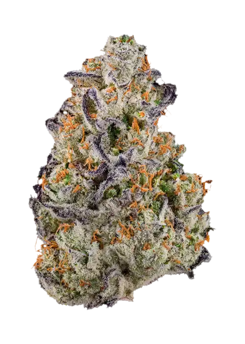 Kookie Dough