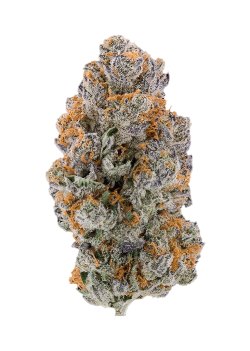 Guavascotti