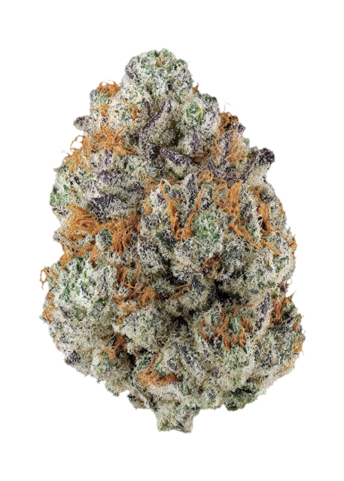 Pineapple Zikigai