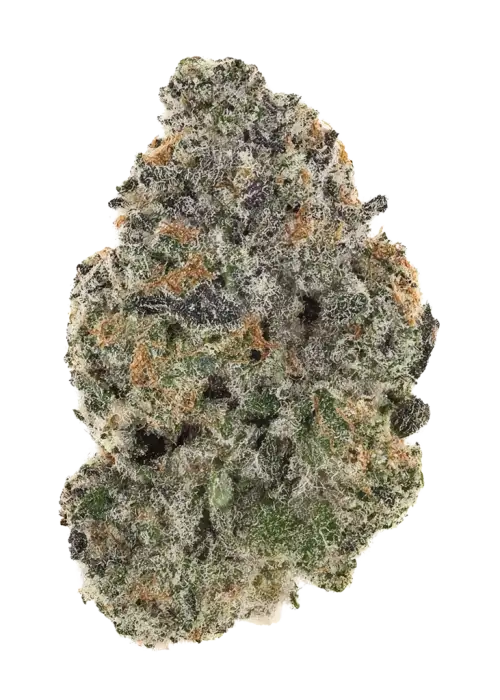 Sparkleface F3