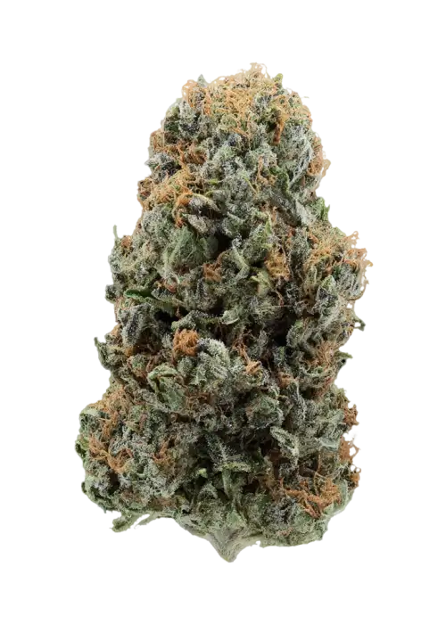 Dream Nebula Kush