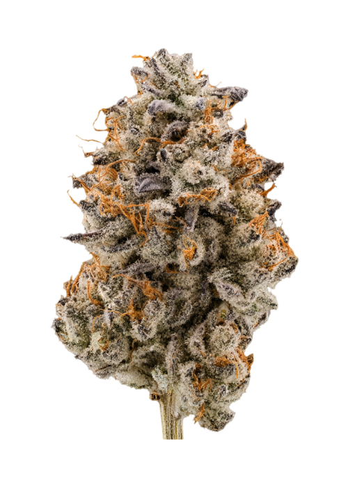 Cherry Lime Soda by GDL