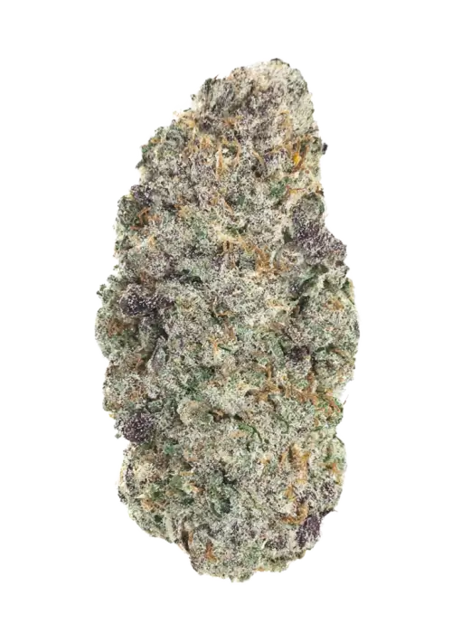 Double Bubble GMO