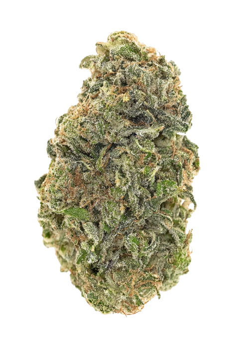 Strawberry Daiquiri by Seed Junky