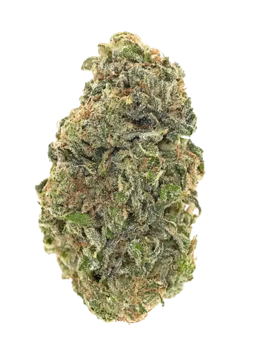 Strawberry Daiquiri by Seed Junky