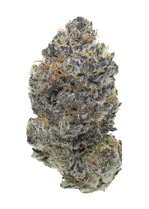 London Fog