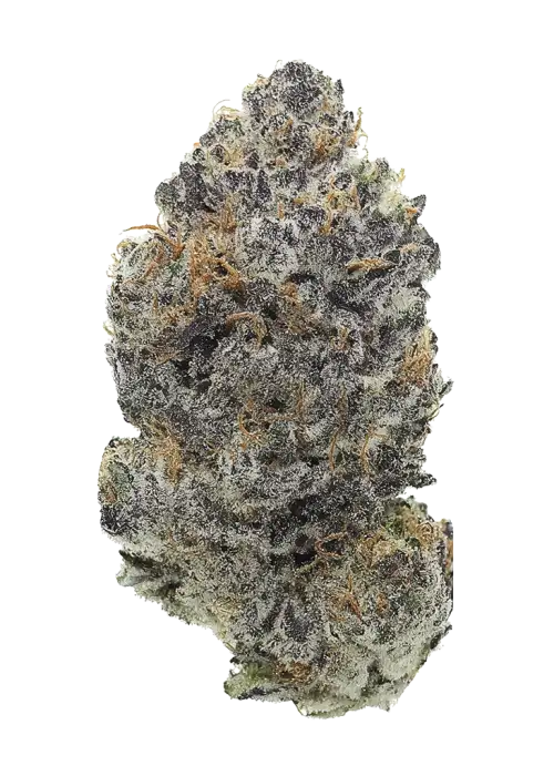 London Fog