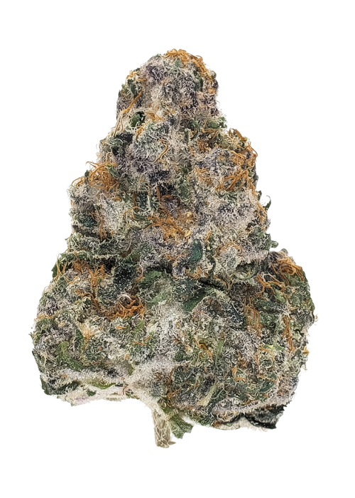 Knightcap