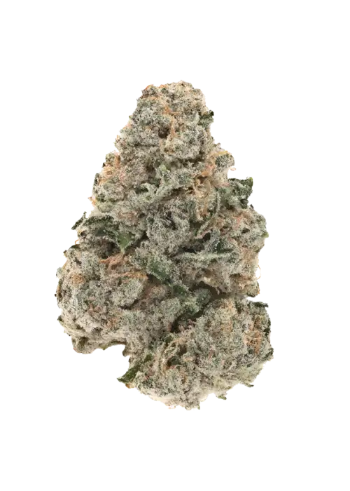 Chernobyl