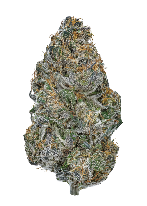 Karamel Kandy