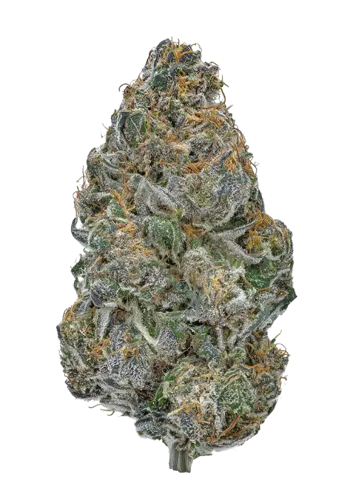 Karamel Kandy