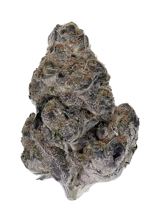 Amore De Uva
