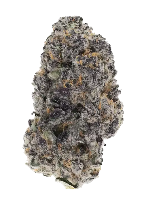 Sour Apple Gelato