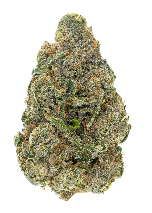 Animal Sherb Mints