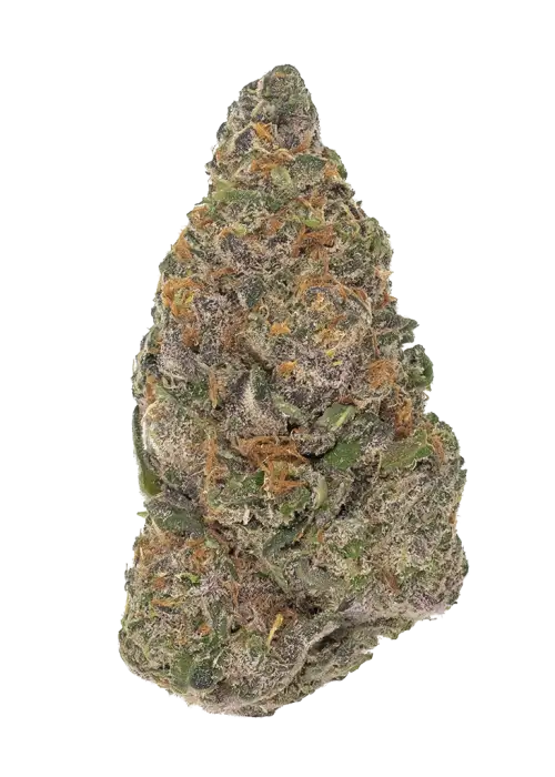 Mint Pie