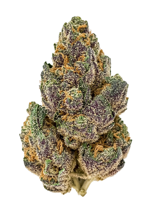 Purple Hindu Kush