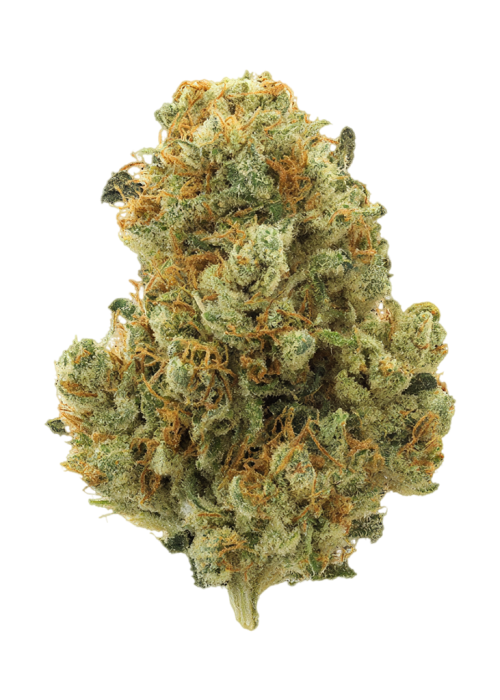 Lemon Up