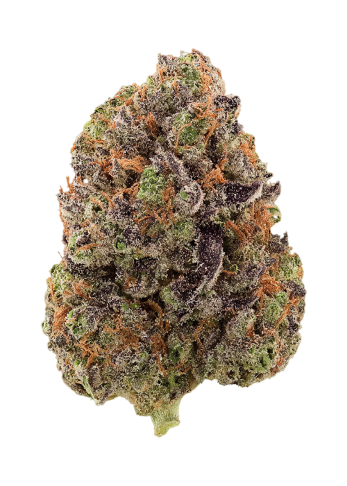 Bubblegum Burst