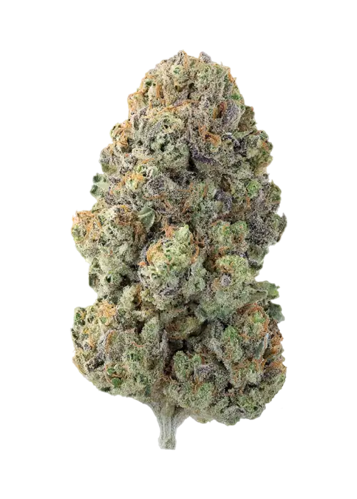 Eggnog OG