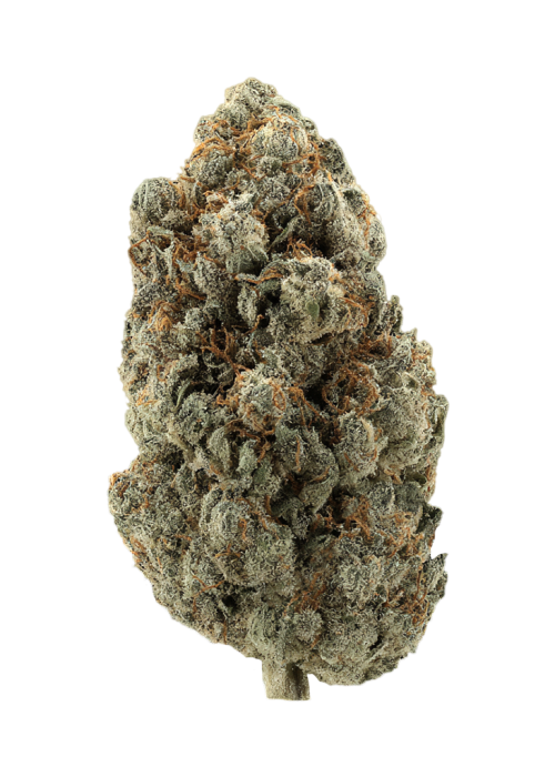 First Class Gas