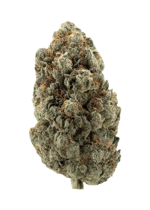First Class Gas