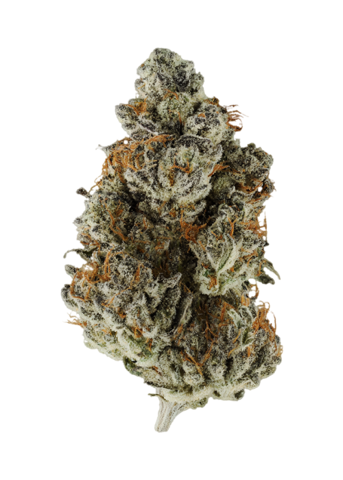 Ape Shit By 3rd Coast