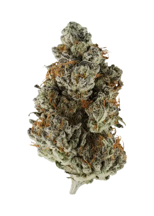 Ape Shit By 3rd Coast