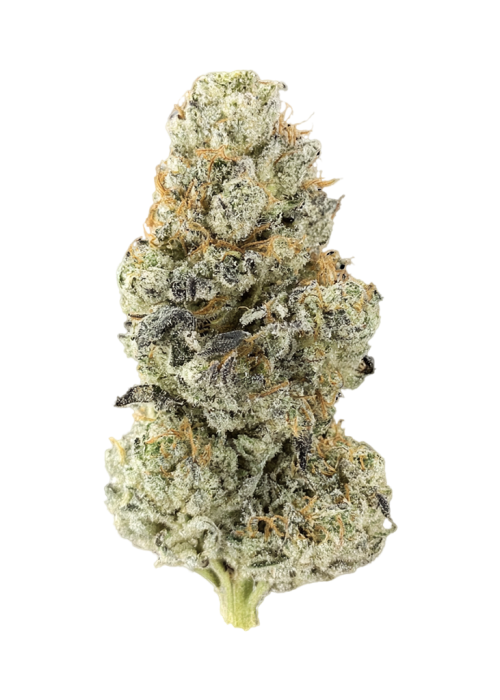 Black Sour Truffle