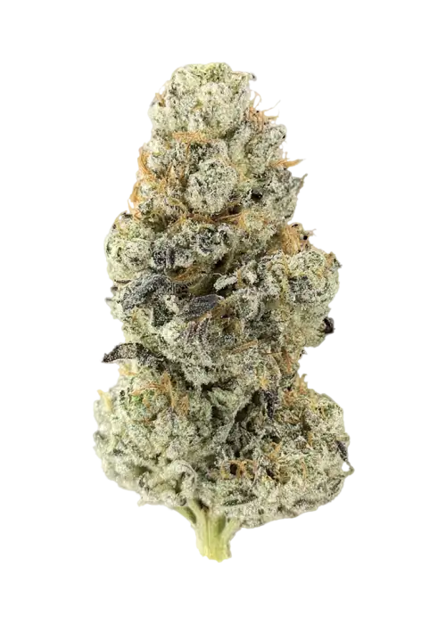 Black Sour Truffle