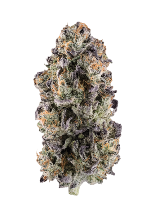 Glass II