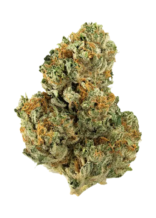 Poison