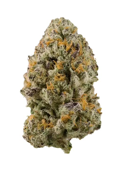 Prickly Pear by Turtle Pie Co