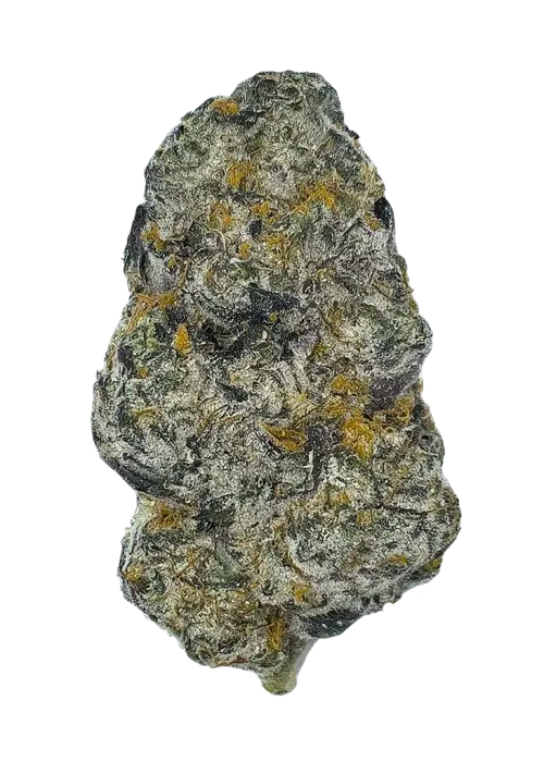 Elephant Breath