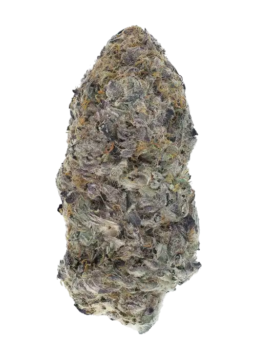 Blueberry Cherries by Teds Budz