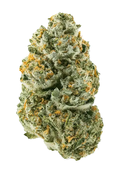 Sour Chem